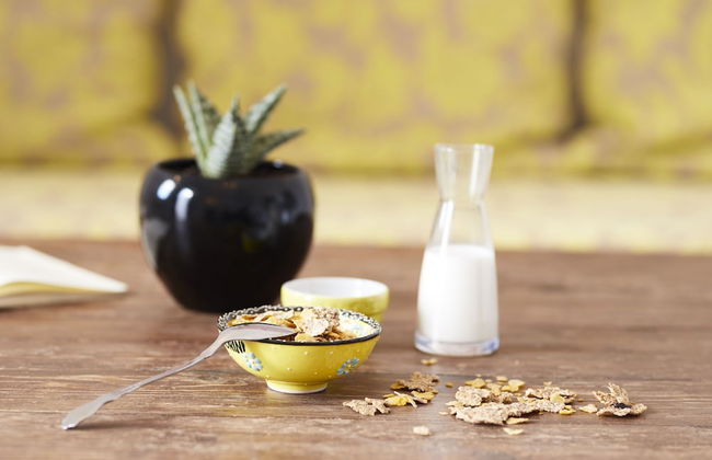 The Small Architect's House - Foto 12