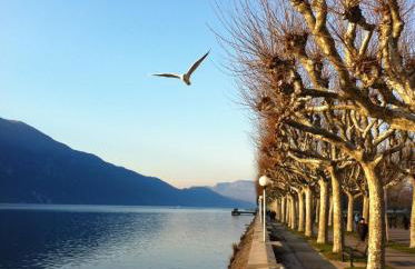 Chabot de Saint Maurice Meublé de Tourisme 3*** - Foto 37