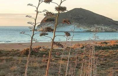 Exclusiva casa con encanto en Agua Amarga - Foto 72