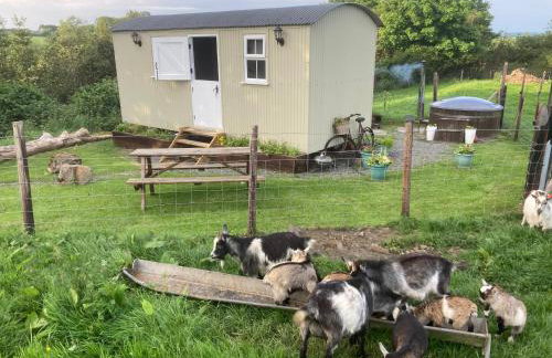 The Shepherds Hut - Foto 9