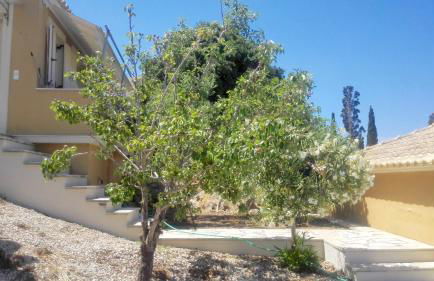 12 Gods Resort - Foto 54