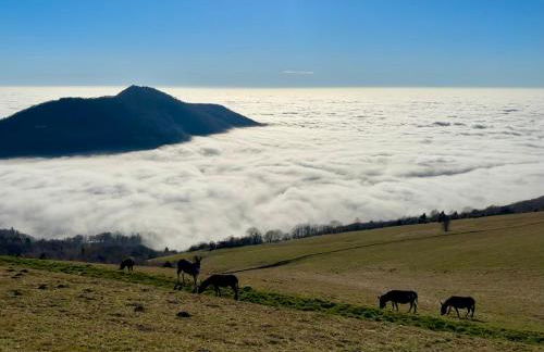 Panorama1200A, in the Heart of the San Fermo Hills - Foto 9