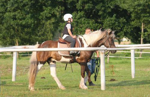 Agroturystyka Sominy - Foto 40