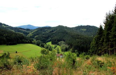 Gemütliches Haus im Herzen des Schwarzwaldes für bis zu 9 Personen - Foto 38