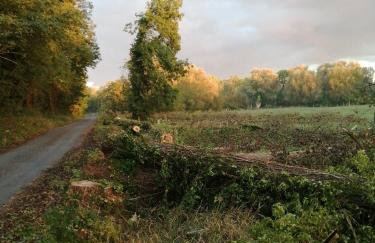 Le chant des grenouilles - Foto 13