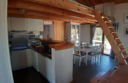 Gecko Pego Longo - Foto 22