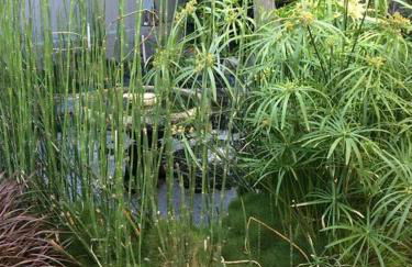 Serenity House near Gaslamp, San Diego Zoo & Petco - Foto 21