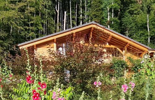 Chalet Arpitan - les Carroz - Grand Massif - Foto 40