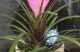 Rūm by the beach - Foto 41