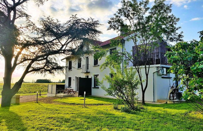 Le Cottage Nature Syrah - Foto 22