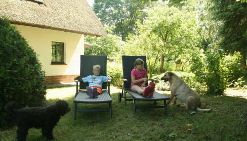 Reetdach Ferienhaus nahe Ostseebad Kühlungsborn - Foto 4