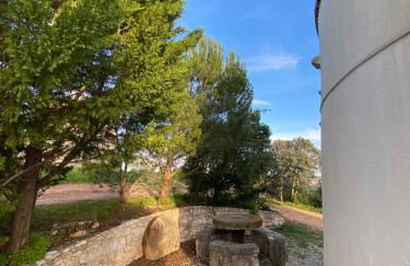 Moinho Da Pena - Alojamento Local - Foto 20