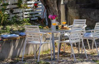 Amaryllis - Photo 37