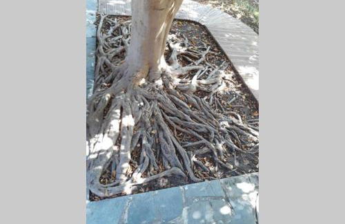 Villa Grande - Foto 49