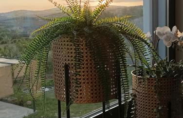 Casa da Marquinhas - Foto 61