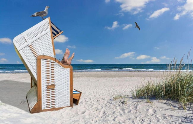 Cozy Apartment in Zingst Germany near Beach - Photo 30