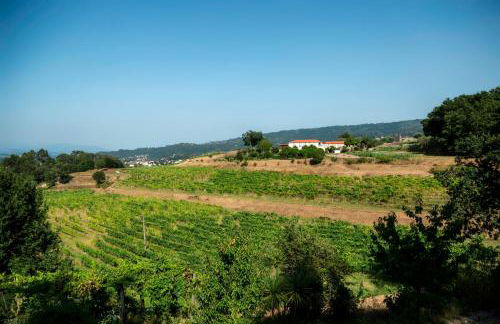 Quinta de Cartemil - Foto 31