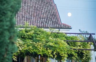 Agriturismo Beatilla - Photo 156