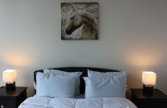 Custom Luxury Suite - By Elite Suites - Photo 8