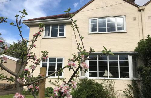 Apple Blossom - Photo 7