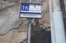 Bilocale Elena 40mq - Foto 11