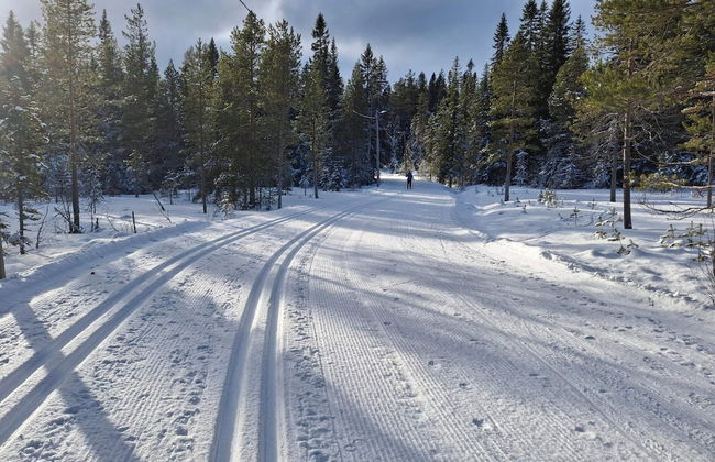 8 Person Holiday Home in Salen - Foto 7