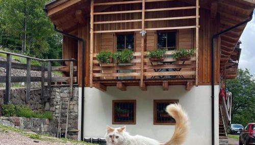 Il nido al Maso Maoro - Foto 2