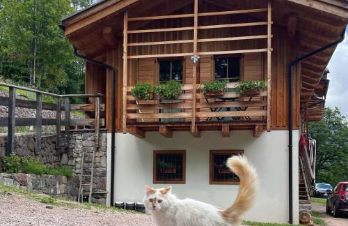 Il nido al Maso Maoro - Foto 2