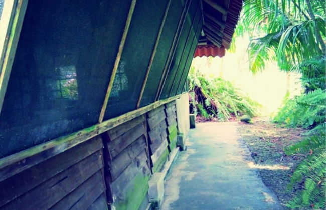 Villas María Luisa Lodge - Photo 52