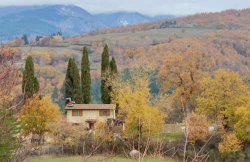 Agriturismo Mandrioli - Foto 17