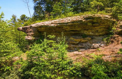 Knotty By Nature- Pet Friendly, Firepit, 150 Acres - Foto 43