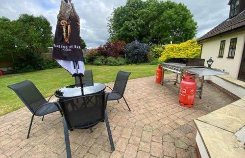 Bellvue Party House - Foto 29