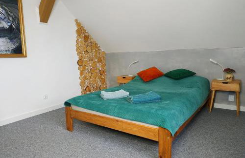 Agrosfera dom relaksacyjny - Foto 10