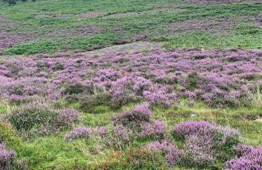 Rose Cottage - Foto 7