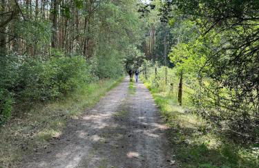 Country house villa near Berlin - Foto 6