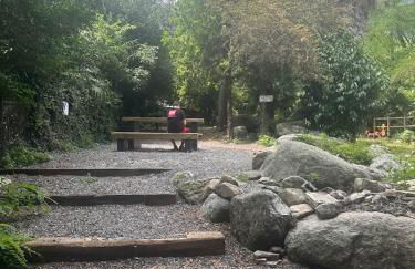 Lakeview Casa Camelia 21 - Foto 37