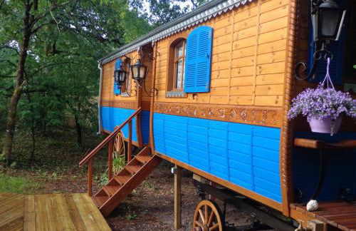 Les roulottes Vesta - Foto 34