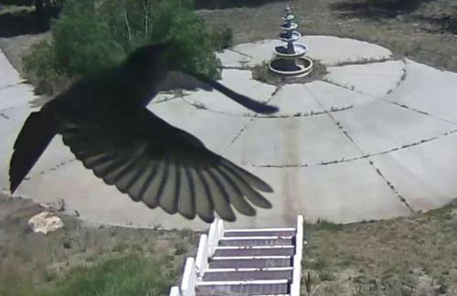 Mansion on the Hill let 4 Rooms, 5th cost extra - Foto 39