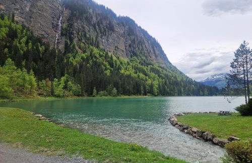 Alpine 1 bed Chalet with beautiful views - Foto 33