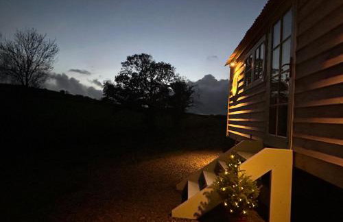 Cosy Devon Hut Woodland Views - Photo 5