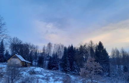 Domek - Na Lipę - Foto 33