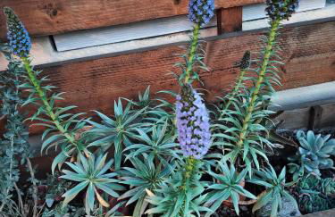 Appartement à Pramousquier Le Lavandou - Foto 19