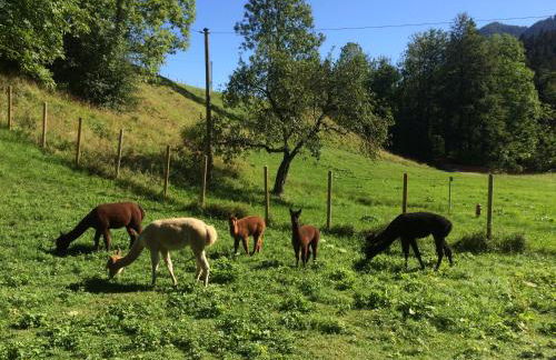 Alpaka-Hof Landinger - Foto 7