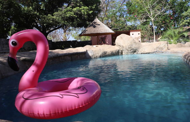 Butterfly Apartments - Foto 24