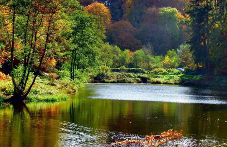 Christmas Cottage Village location - Foto 14