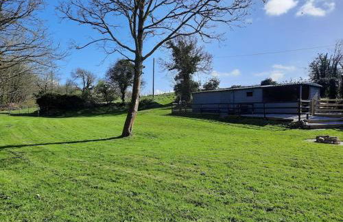 Beautiful Cabin near Padstow - Foto 14