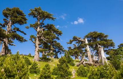 Modern Apt REVENTINO - Le Lincelle, Lamezia - Photo 50