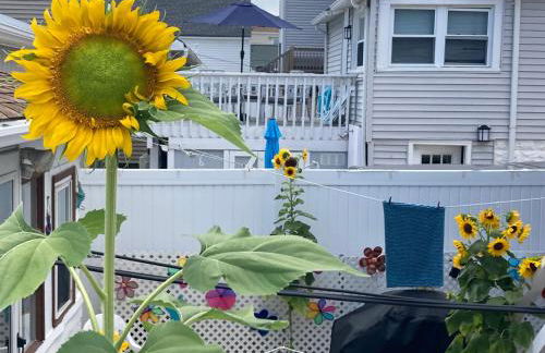 BEACH COTTAGE 2nd HOUSE FROM BEACH - Foto 28