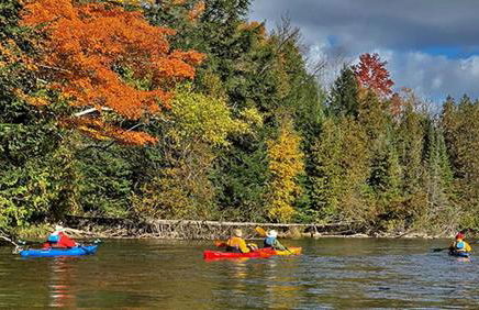 Gorgeous Cottage with Stunning Sights in Wellston, Michigan - Foto 5