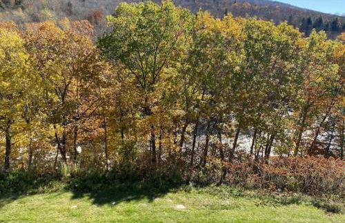 Studio Apt with stunning Mountain Views - Foto 29